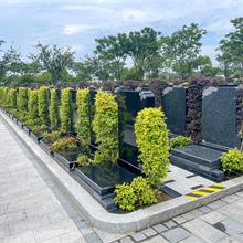 上海墓地