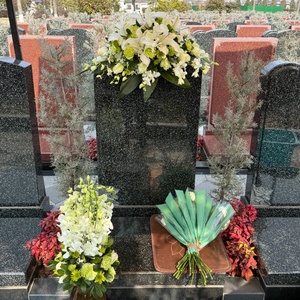 礼仪服务--安居礼仪