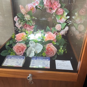 粉玫瑰蝴蝶兰