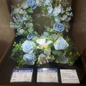 蓝玫瑰蝴蝶兰
